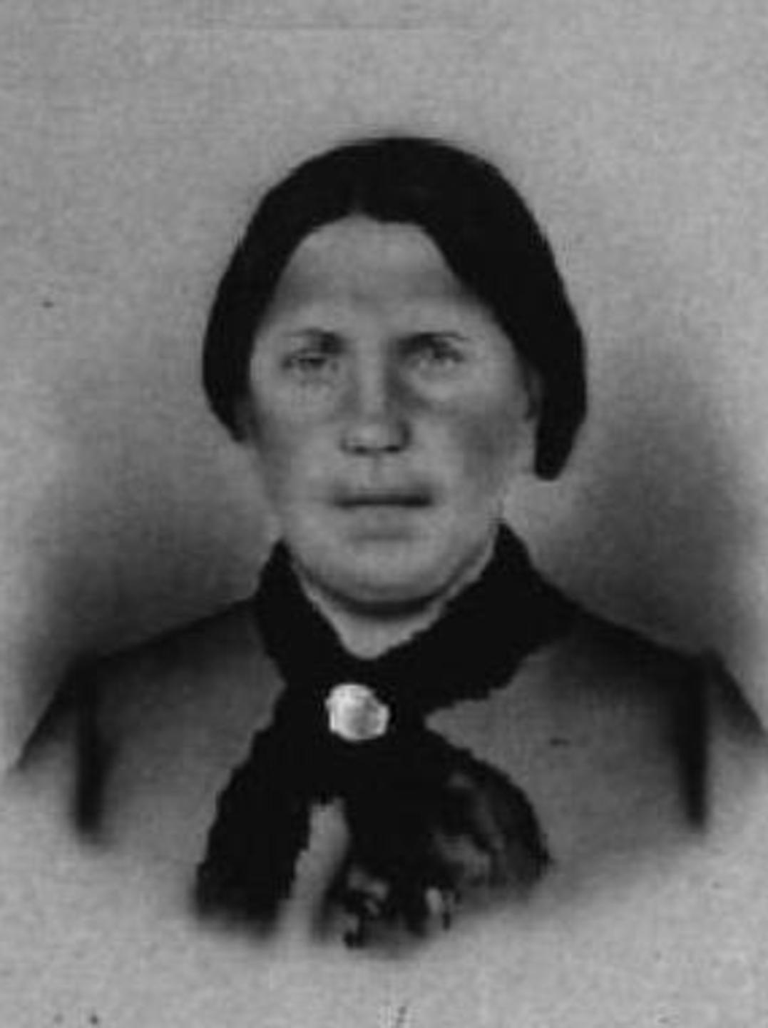 Mary Elizabeth Brooks (1819 - 1863) Profile